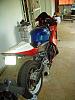 92 cbr 600f2 need ideas bout 600rr body swap-almost-finished3.jpg