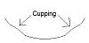 BT021 - opinions?-bt021.jpg