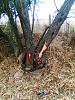 High speed tree hugging!!-image006.jpg