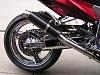 old bird blinged out-picture-442.jpg