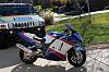 My 2 Birds-bike-2.jpg