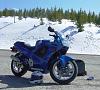 Another newbie-dsc07424.jpg