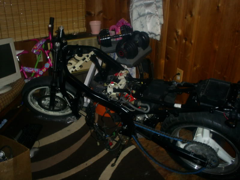 Name:  S4020026.jpg
Views: 100
Size:  63.7 KB