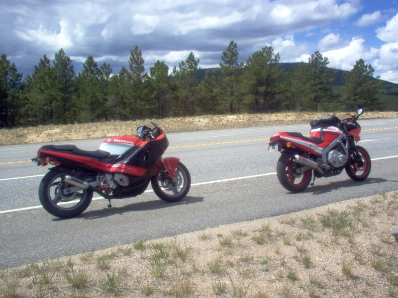 Name: yard.jpg
Views: 549
Size: 148.9 KB