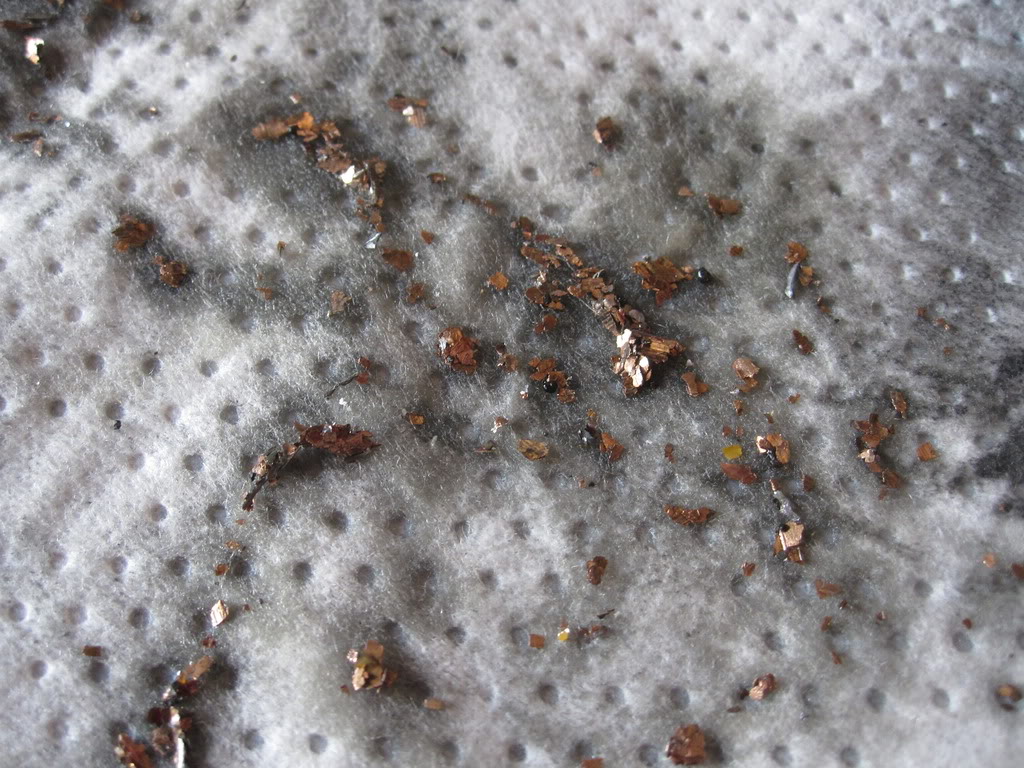 Name: CBR114-1.jpg
Views: 271
Size: 198.8 KB