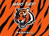 Name:  bengals3-4.jpg
Views: 37
Size:  6.9 KB