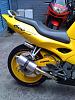 cbr F3 downpipes?-cbr-2.jpg