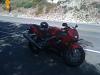 Just bought my first Honda CBR 600F4 with 600 Original Miles!!-photo-2.jpg