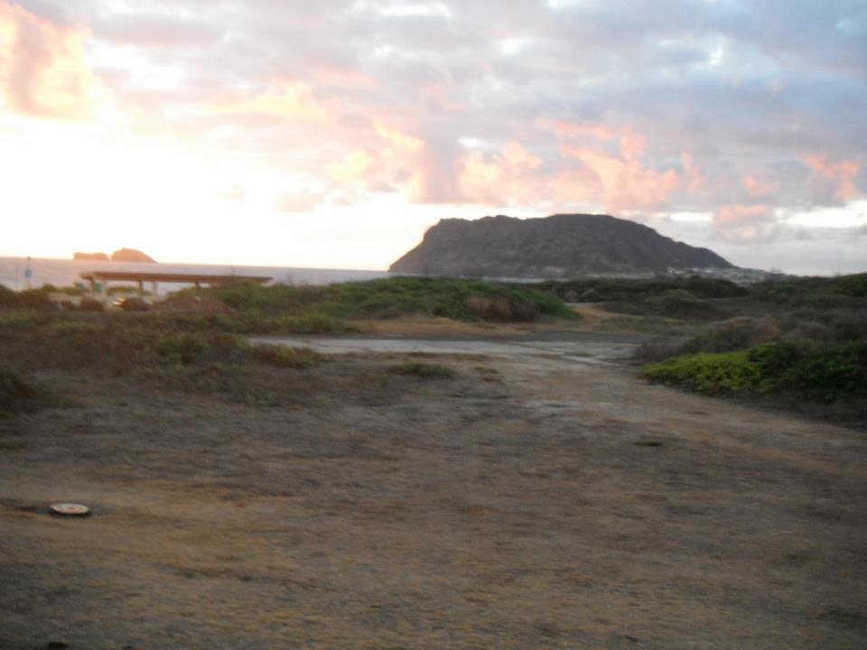 Name:  6d588570.jpg
Views: 87
Size:  52.6 KB