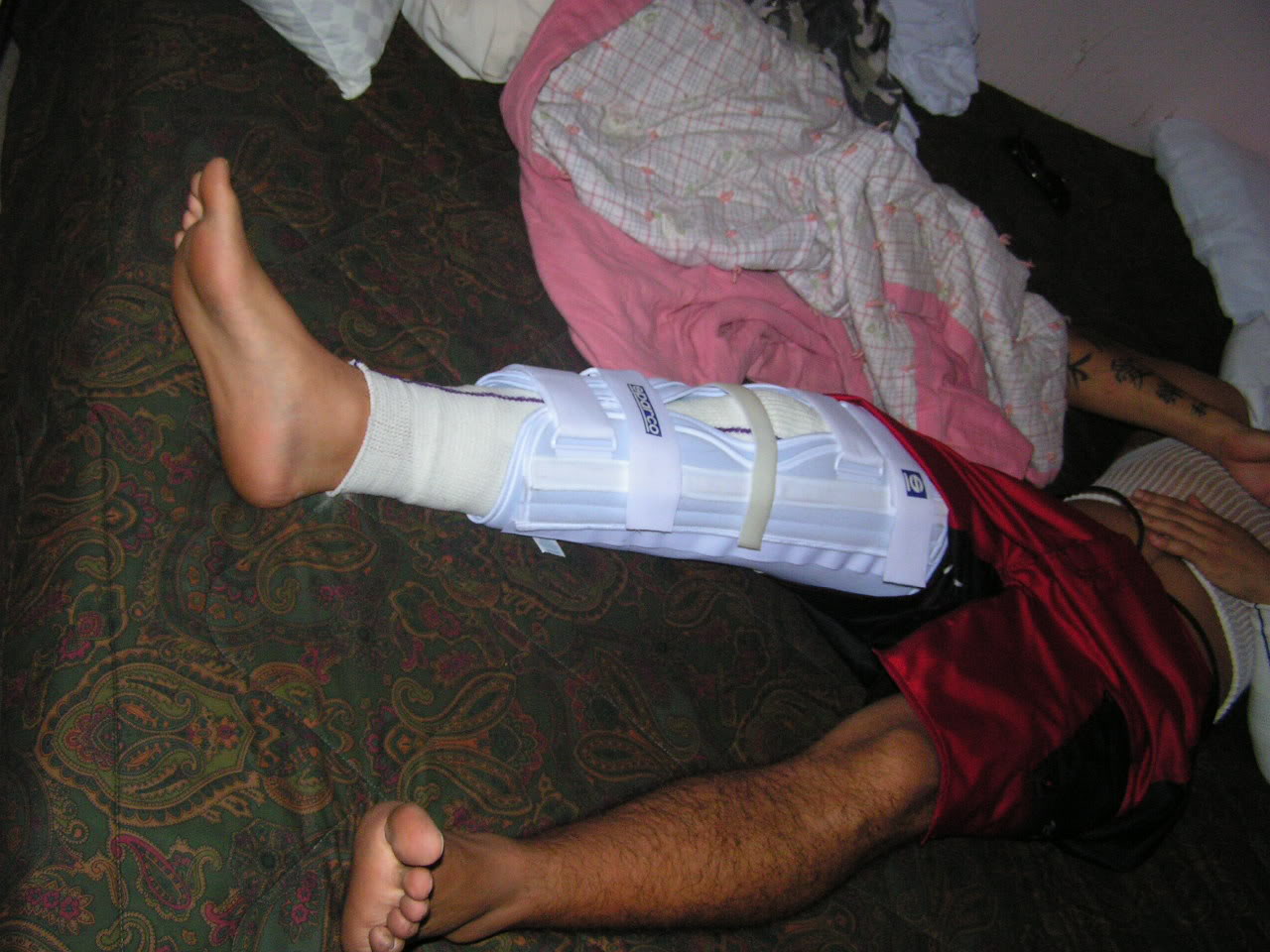 Name:  SemiLeg.jpg
Views: 63
Size:  162.6 KB