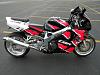 best shots-vids-283.jpg