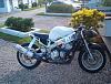 How many 900 RR owner's do we have here?-im000844-1-.jpg