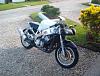 How many 900 RR owner's do we have here?-im000846-1-.jpg