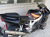 97 cbr 900 rr-cody-dog-man-006.jpg