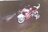  900rr pictures thread-4837_1177781288137_1336281583_30489627_8376144_n.jpg