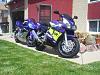  900rr pictures thread-rr-erik-003.jpg