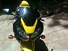 New 929 owner here-34073_562530168491_62004394_32458026_4707461_n-1.jpg