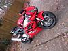 954rr pic thread: post pics here-img_1104.jpg