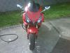 954rr pic thread: post pics here-8.jpg