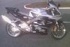 954rr pic thread: post pics here-954-sunshine.jpg