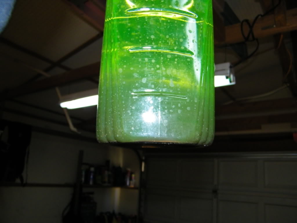 Name:  100_3882.jpg
Views: 230
Size:  64.0 KB