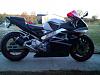 954rr pic thread: post pics here-0106001702.jpg