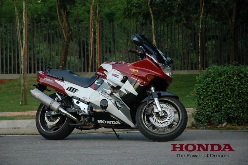 Name:  DSC_6185.jpg
Views: 22
Size:  94.6 KB