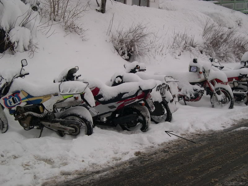 Name:  snow2.jpg
Views: 21
Size:  104.4 KB