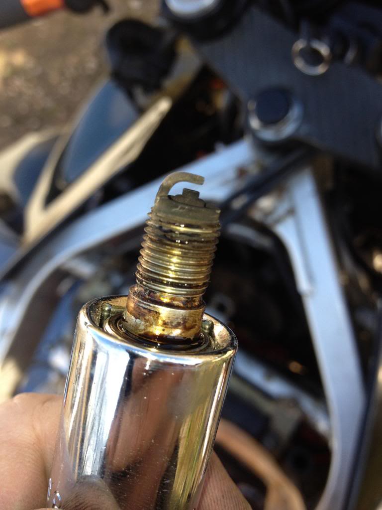 Name:  IMG_0467_zpsa56cdabf.jpg
Views: 31
Size:  69.9 KB