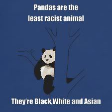 Name:  RacistPanda.jpg
Views: 17
Size:  7.2 KB