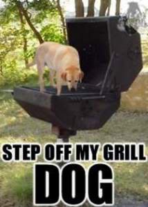 Name:  Stepoffmygrilldog1.jpg
Views: 140
Size:  11.6 KB