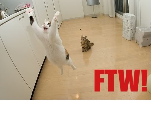 Name:  ftw.jpg
Views: 19
Size:  23.4 KB