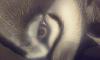 Project: Airbrushed widescreen-1204150021a.jpg