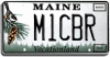 Vanity plate funtime Competition-showplate2.gif