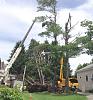 Busy few days outback of the homestead-crane.jpg