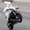 Got a funny pic ????-cycle-bunny.jpg
