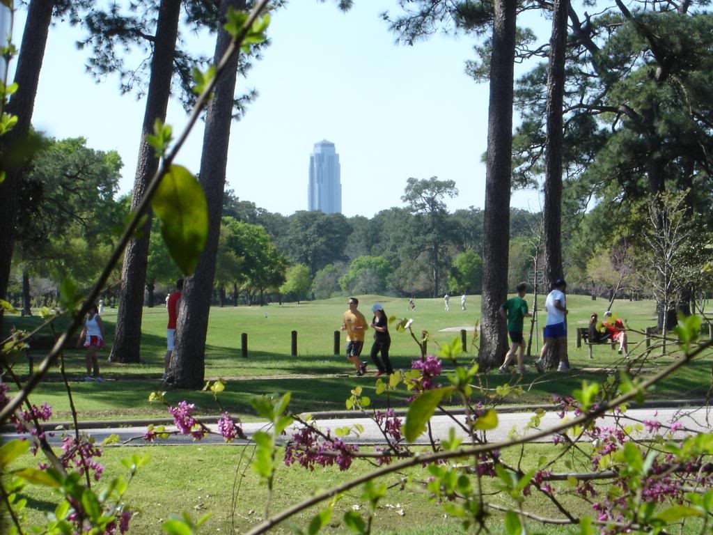 Name:  MemorialParkHouston.jpg
Views: 44
Size:  167.1 KB