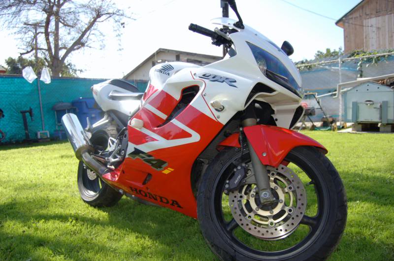 Name:  DSC_0451-1.jpg
Views: 43
Size:  82.4 KB