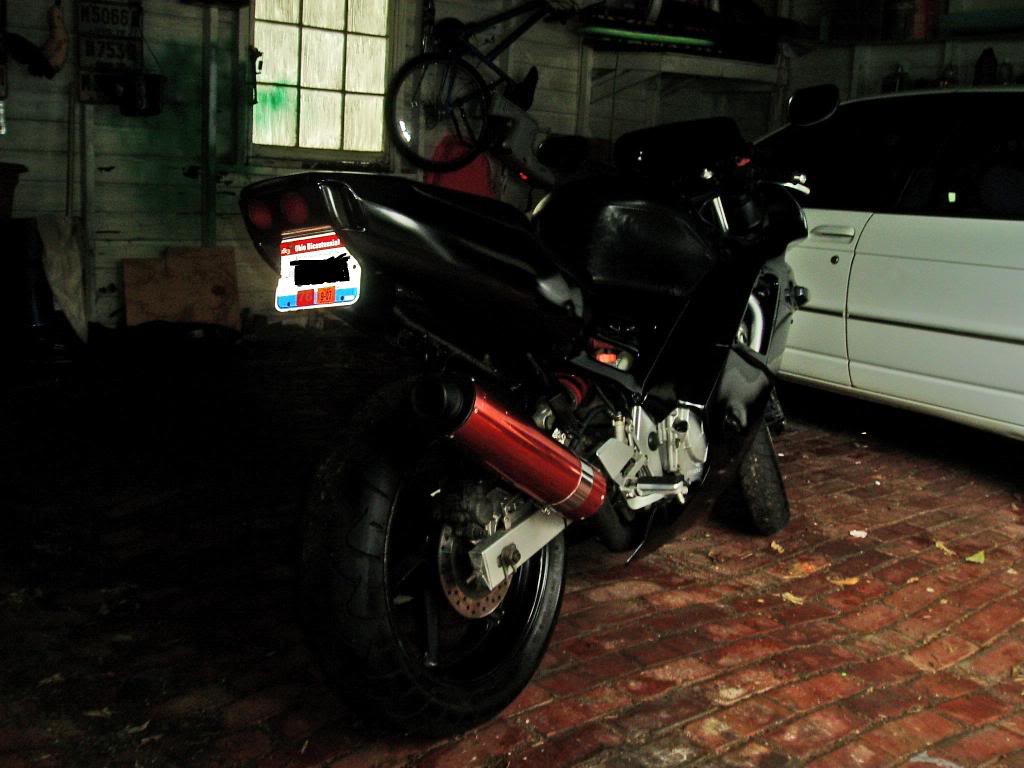 Name:  P8050020_edited.jpg
Views: 13
Size:  86.3 KB