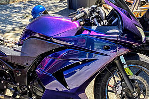 New member-purple-redin99.jpg