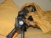 The OFFICIAL *u Laugh u Lose* thread-doggun.jpg