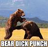 The OFFICIAL *u Laugh u Lose* thread-bear.jpg