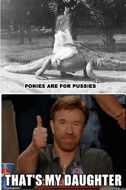 Name:  Ponies-are-for-pussies-Thats-my-daughter.jpg
Views: 15
Size:  49.7 KB