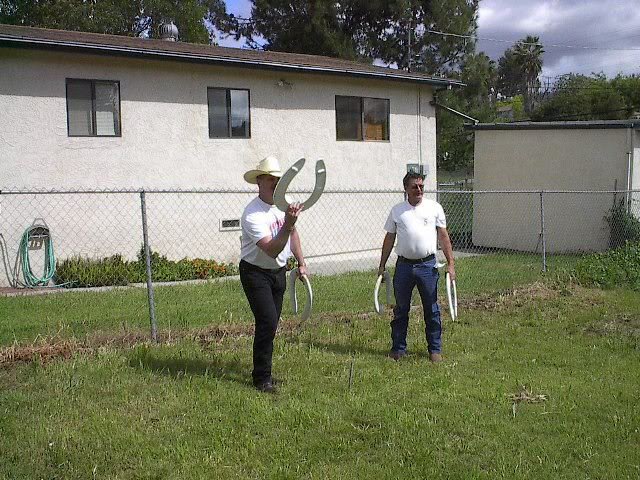 Name:  horseshoes.jpg
Views: 38
Size:  95.0 KB