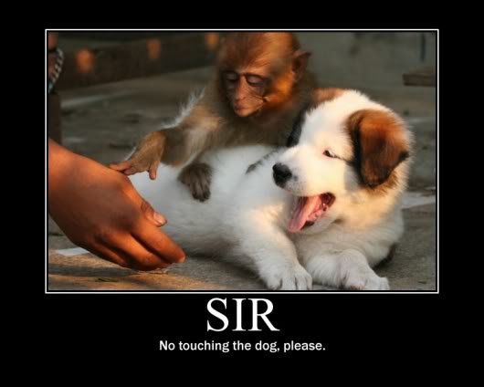 Name:  8734.jpg
Views: 31
Size:  24.0 KB