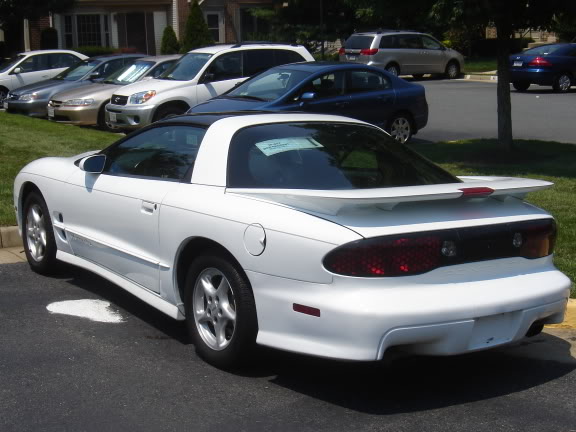 Name:  TransAm003.jpg
Views: 53
Size:  49.7 KB