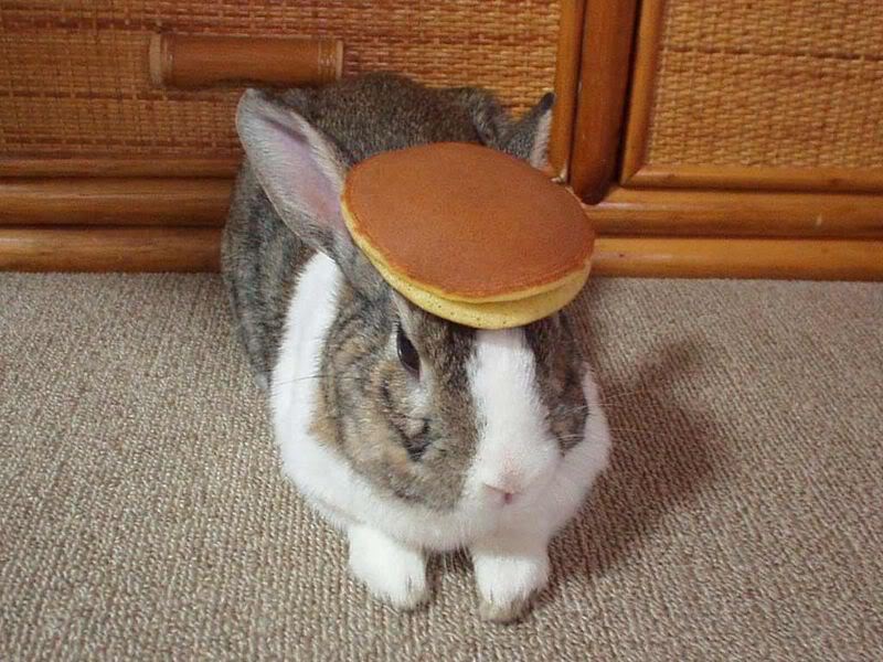 Name:  PancakeBunny.jpg
Views: 117
Size:  96.8 KB