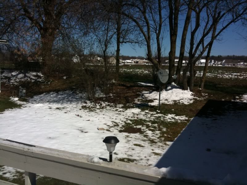 Name:  snow.jpg
Views: 25
Size:  108.9 KB