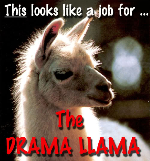 Name:  Drama_Llama.jpg
Views: 15
Size:  57.4 KB