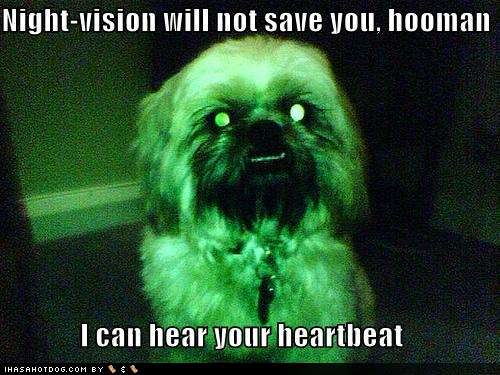 Name:  funny-dog-pictures-scary-dog-can-he.jpg
Views: 16
Size:  37.4 KB